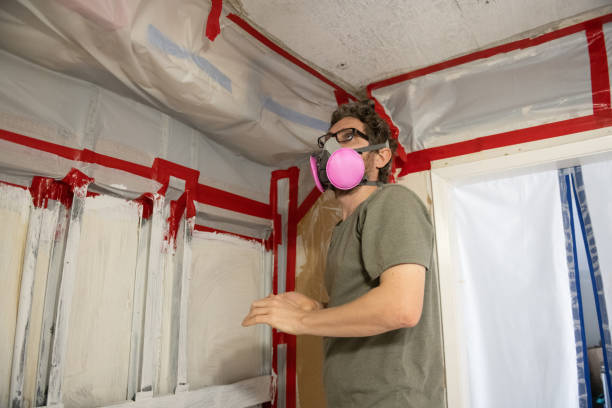 Best Attic Mold Removal  in Ridgeville, SC